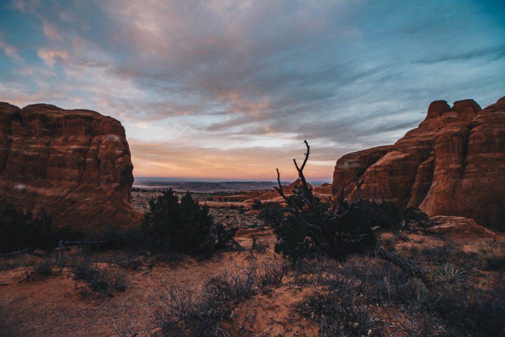 zion_2_003