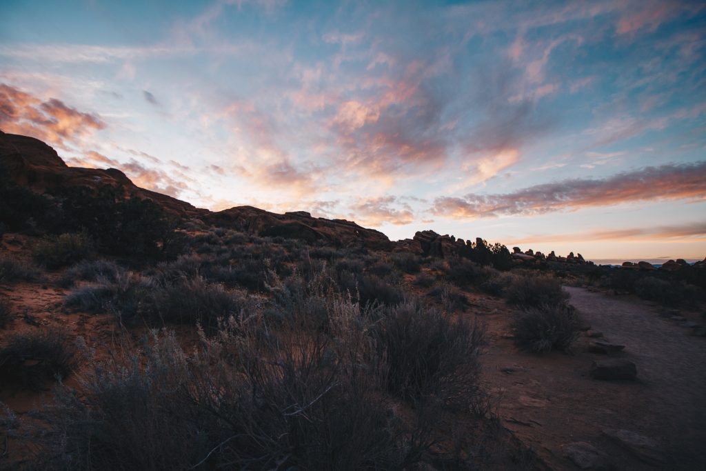 zion_2_008
