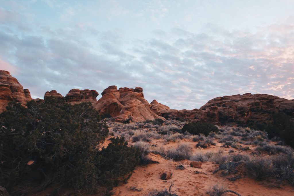 zion_2_010