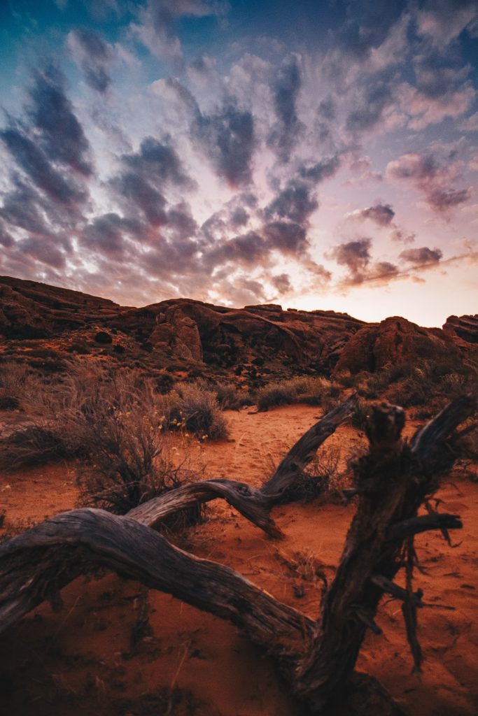 zion_2_019