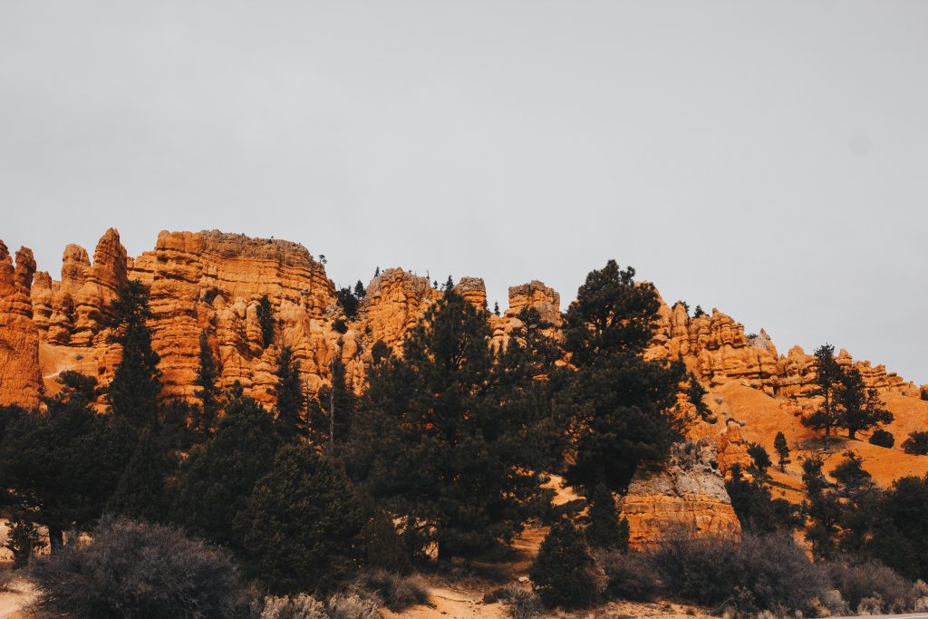 zion_4_007