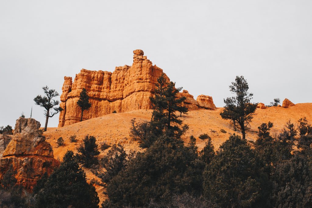 zion_4_008