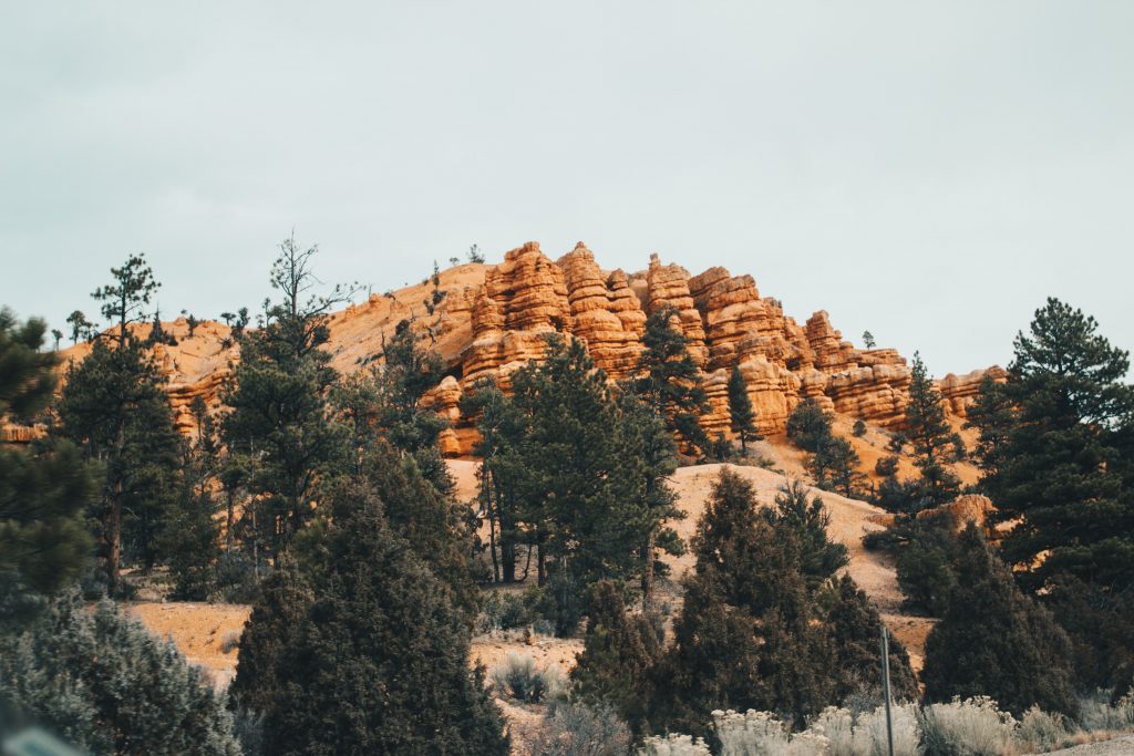 zion_4_011