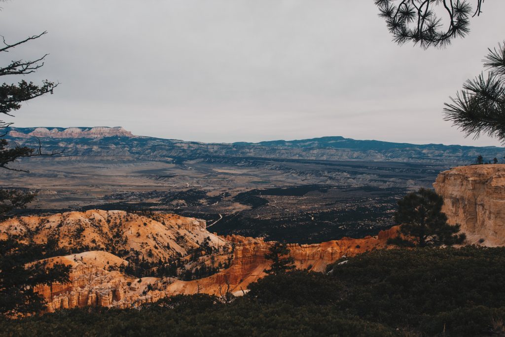 zion_4_014