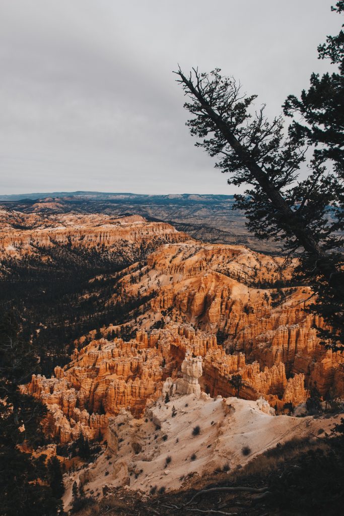 zion_4_016