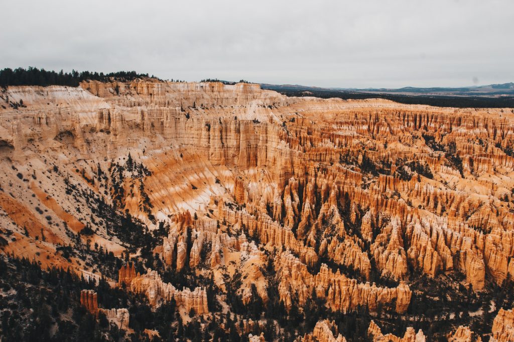 zion_4_017