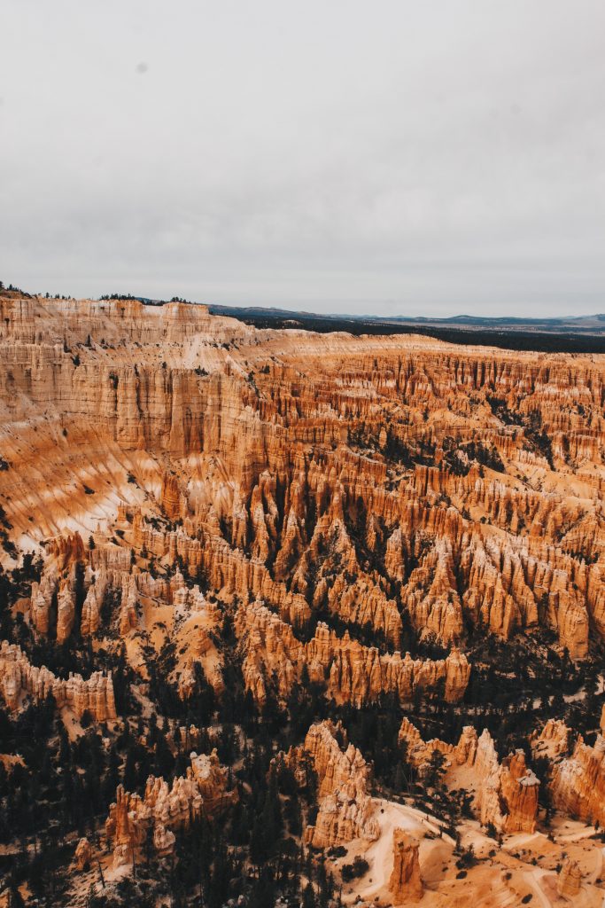 zion_4_018
