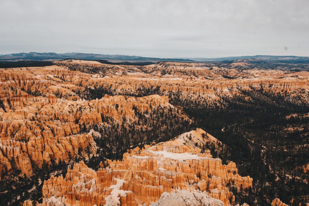 zion_4_019