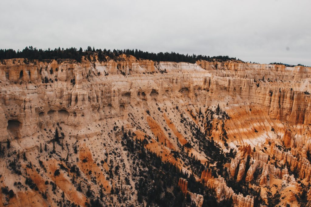 zion_4_020