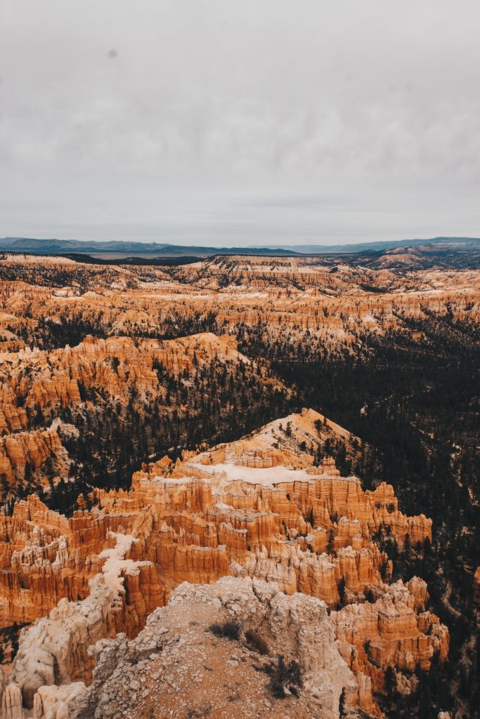 zion_4_021