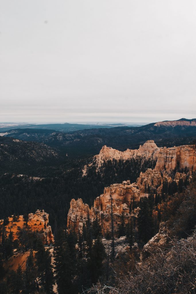 zion_4_026