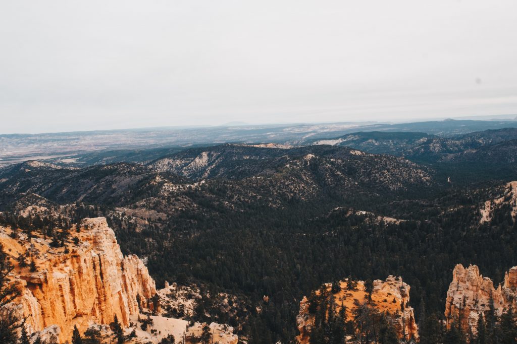 zion_4_027