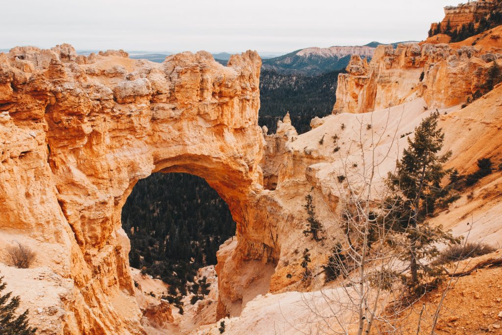 zion_4_028