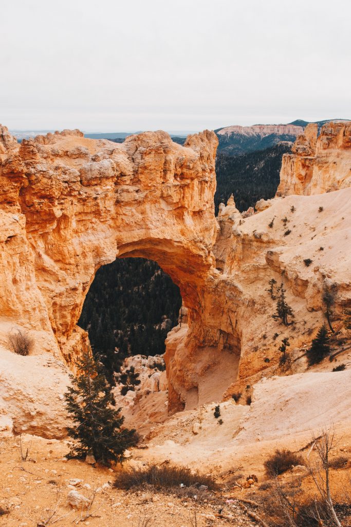 zion_4_030