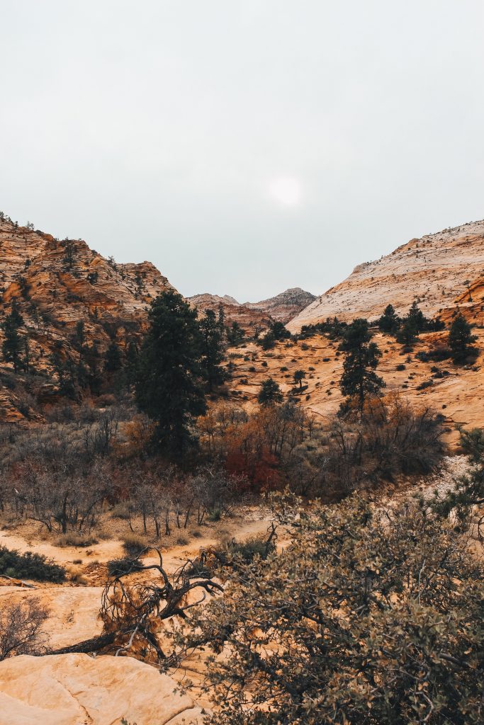 zion_4_040