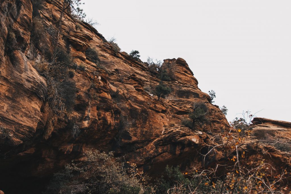 zion_4_054