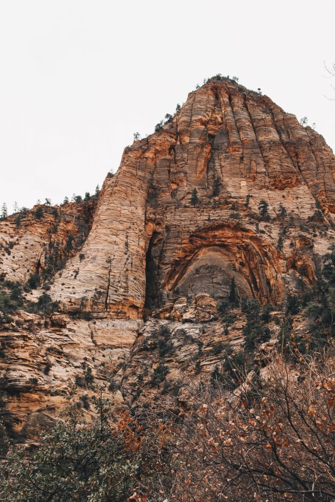 zion_4_056