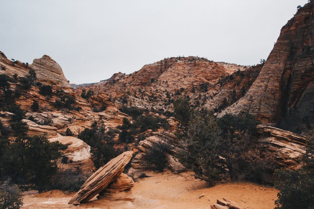 zion_4_070
