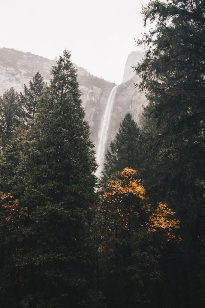 yosemite_008
