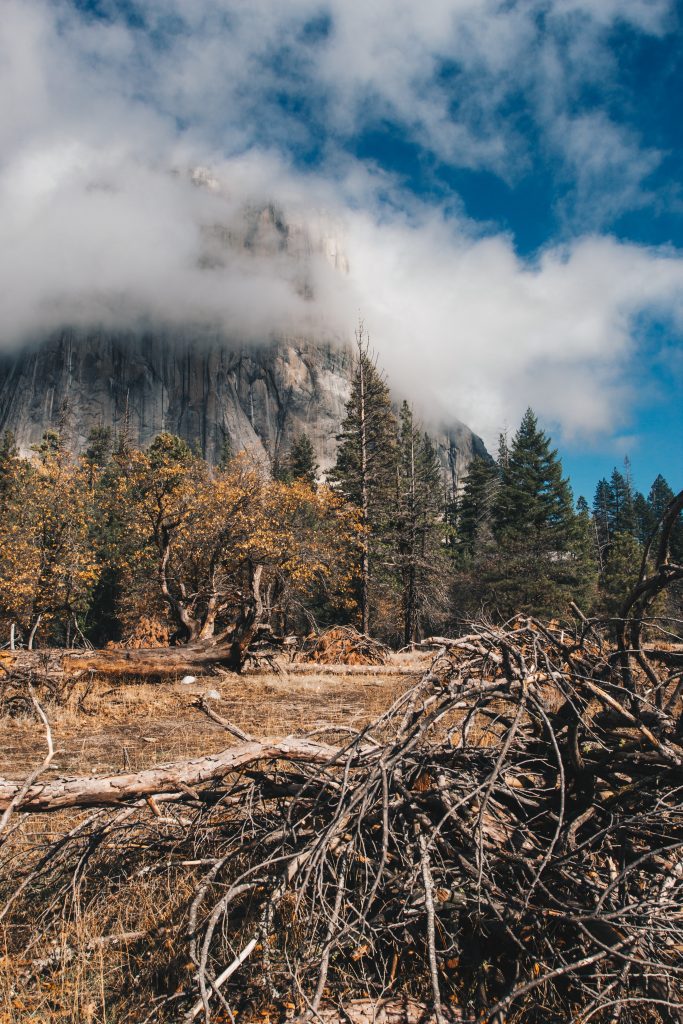 yosemite_2_028