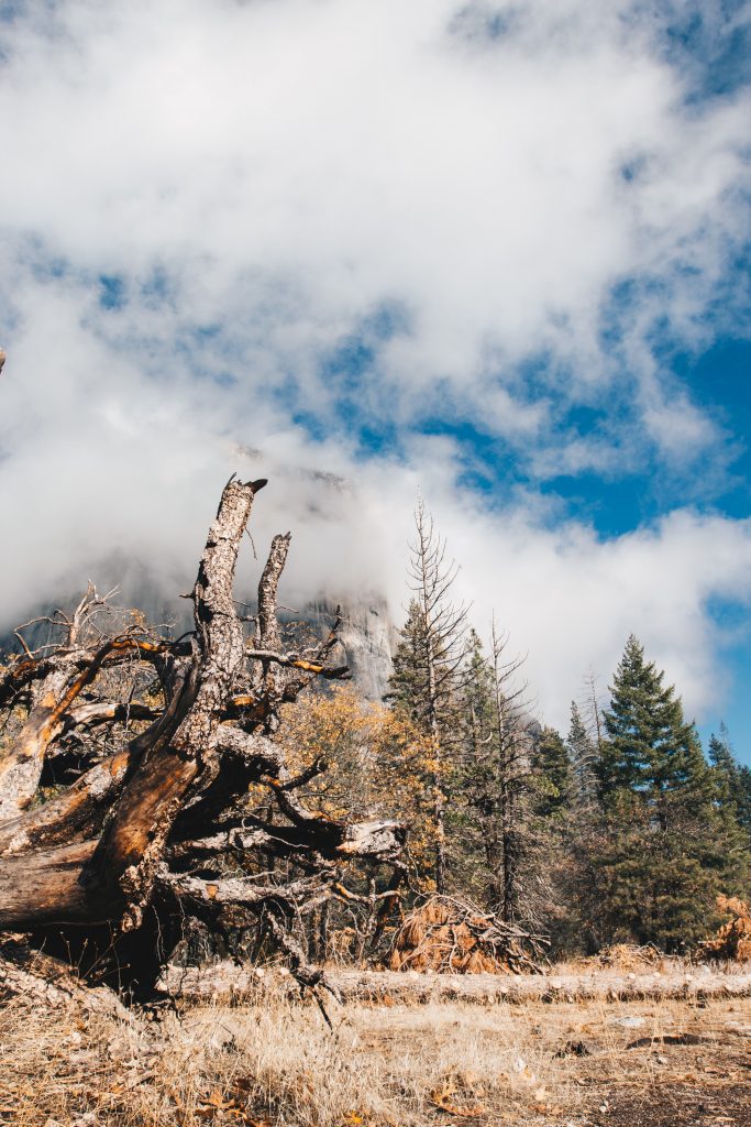 yosemite_2_030